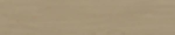 W8219 Wilsonart Ivory Birch 8219 Edgebanding match