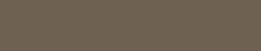 BM1000 Benjamin Moore Northwood Brown 1000 Edgebanding match