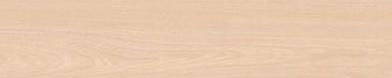 PAPN54 Panolam White Elm Pn54 Edgebanding match