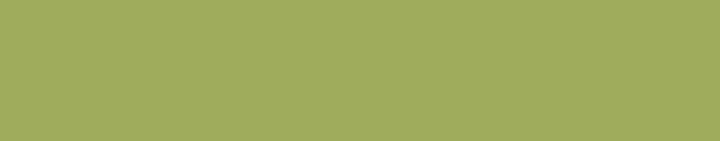 SW9032 Sherwin Williams Stay in Lime 9032 Edgebanding match