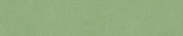 WY0871 Wilsonart Sprout Y0871 Edgebanding match