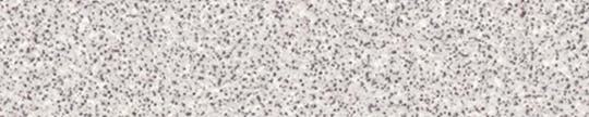F507 Formica Folkstone Grafix 507 Edgebanding match