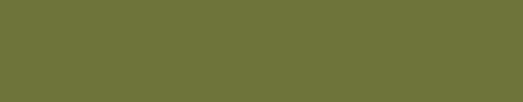 BM214510 Benjamin Moore Avocado 2145 10 Edgebanding match