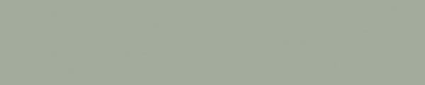 WY0859 Wilsonart Prickly Pear Y0859 Edgebanding match