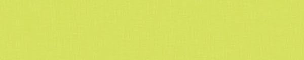 WY0735 Wilsonart Granny Smith Y0735 Edgebanding match