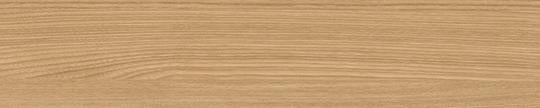F8844 Formica Aged Ash 8844