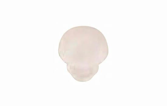 356.16.025 - 2.5mm Thick x 8mm Diameter Clear Bumper Pads