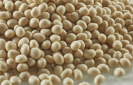 JW60800-0010G - PUR Natural Unfilled Hotmelt Glue Pellets 9-1 lb. cans per Box