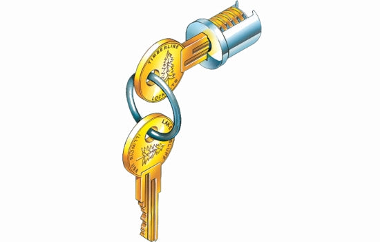 LP100-KD - Lock Core Keyed Different Nickel
