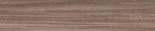 PIWX170 Pionite Tiramisu Wx170