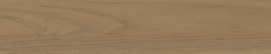F5794 Formica Beige Elm 5794