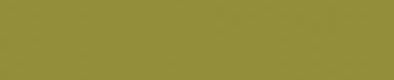 NSV7300 Nevamar Pear Green SV7300 Edgebanding match