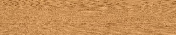 W7888 Wilsonart Golden Oak 7888 Edgebanding match