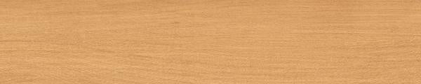 W8244 Wilsonart Coronado Oak 8244 Edgebanding match