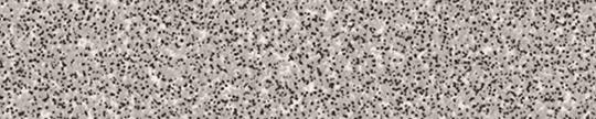 F9300 Formica Gray Grafix 9300 Edgebanding match