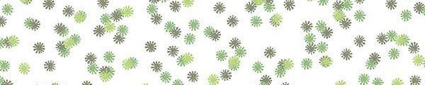 WY0044 Wilsonart Envy Daisy Y0044 Edgebanding match