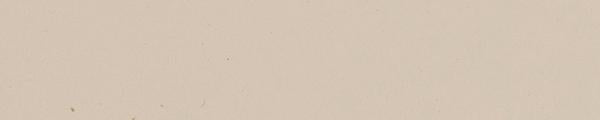 AP0218 Arpa Beige 0218 Edgebanding match