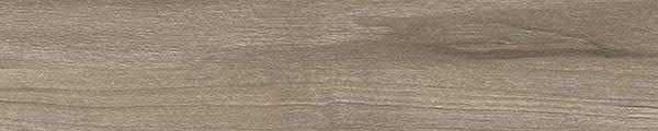 AB668 Abet Laminati Apple Tree 668 Edgebanding match