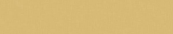 WY0376 Wilsonart Pale Brass Y0376 Edgebanding match