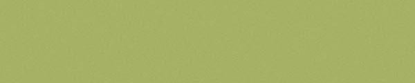 WY0836 Wilsonart Tomatillo Y0836 Edgebanding match