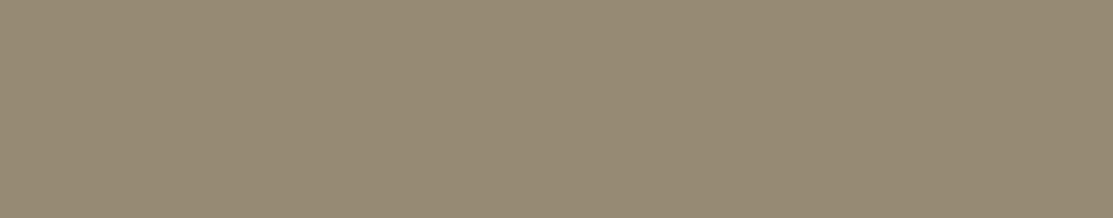 BMCSP135 Benjamin Moore Worn Leather Shoes CSP 135 Edgebanding match