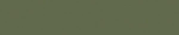 PRSF257 Arauco Prism Verde Sf257 Edgebanding match