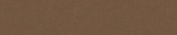 WY0381 Wilsonart Light Oil Bronze Y0381
