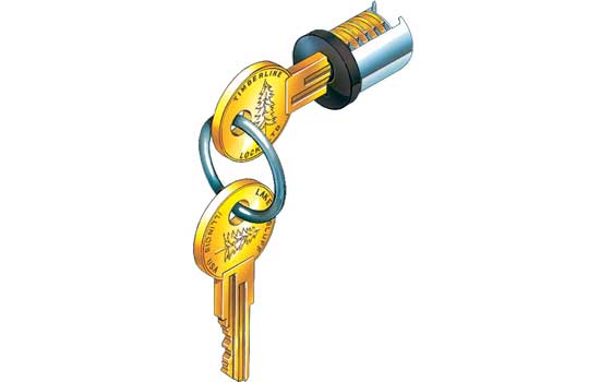 LP300-100 - Lock Core Key #100 Black