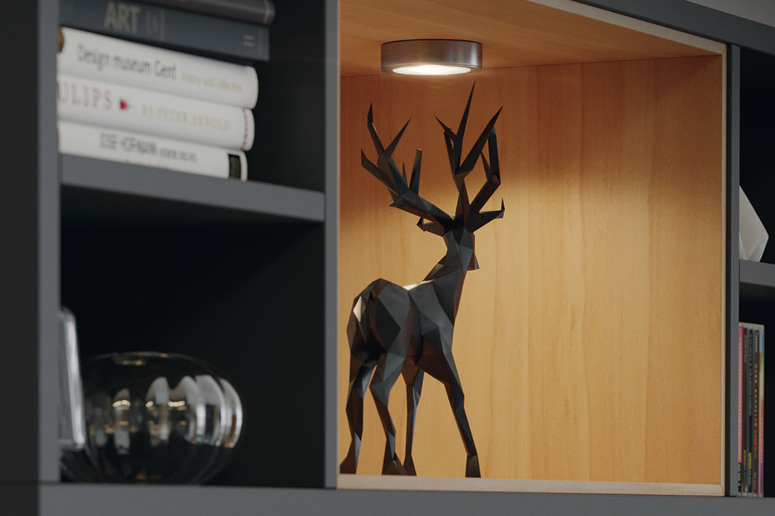 Recess/Surface Mounted Downlight, Monochrome, Loox LED 2047, 12 V