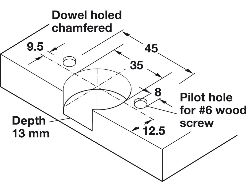 Single Pivot Institutional Hinge Arm, Aximat® 300, Grade 1, with Expanding Dowels