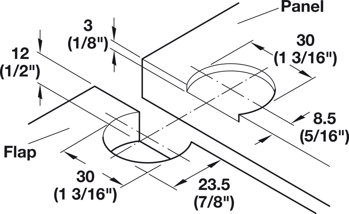 Flap Hinge, Plano Medial