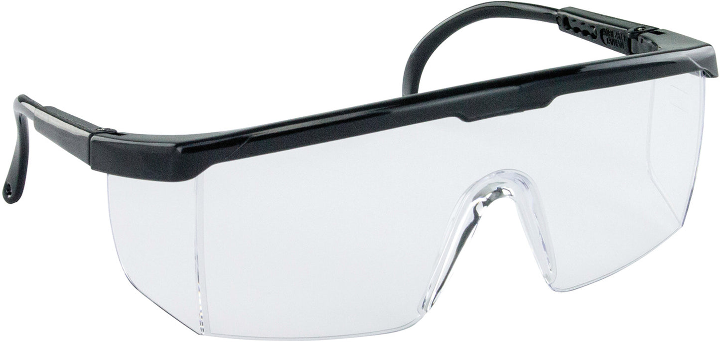 Safety Glasses, Hornets