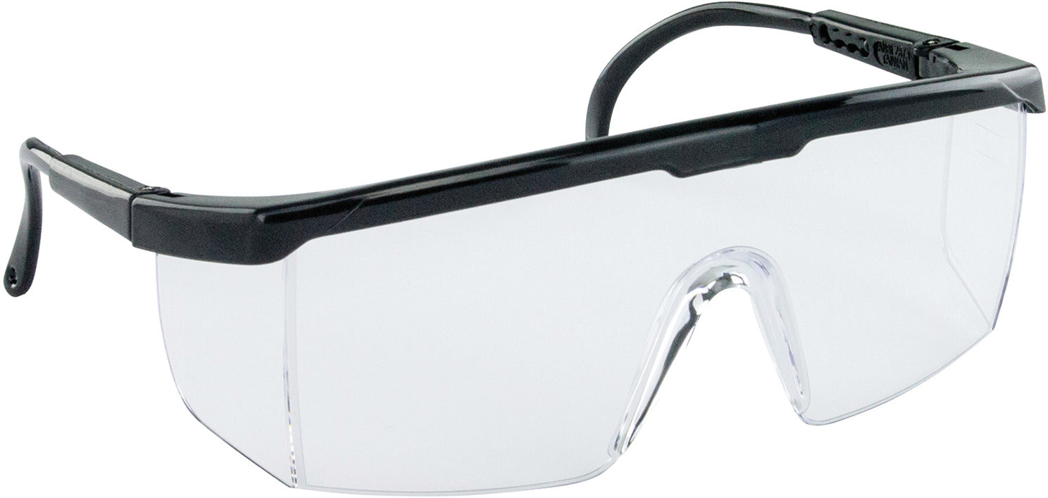 Safety Glasses, Hornets