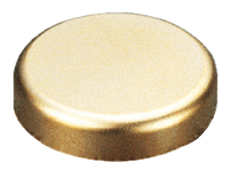 Trim Cap, Salice, Round, for 94° Glass Door Hinges