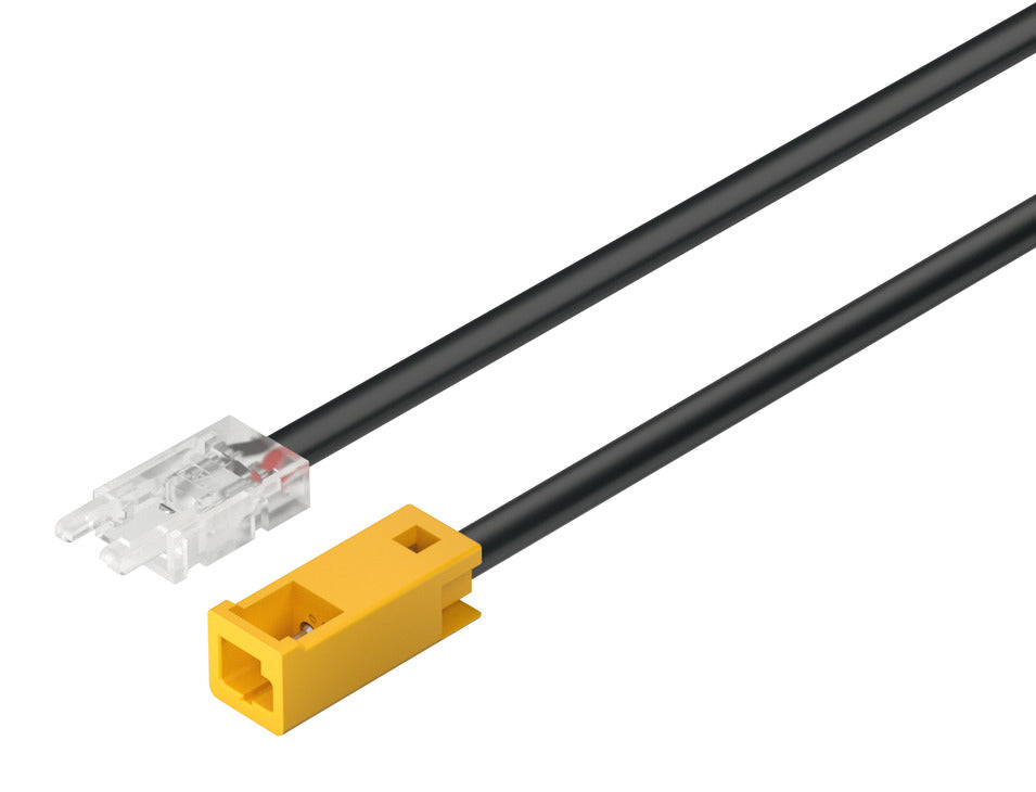 Extension lead, HÃ¤fele Loox5 from LED-Band monochrome 8 mm 12 V, AWG 18